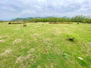 Hutsubani'de Arazi Parseli — Sahiplerden yada inşaatcilardan mülkiyet arama GEOLN.COM. Fotoğraf 4