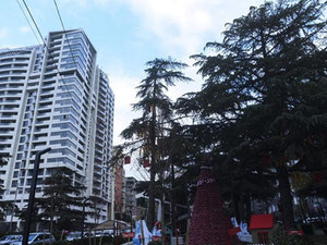 3 pokojowe mieszkanie w Saburtalo. Mieszkanie bez pośrednika w Tbilisi — Wyszukiwarka nieruchomości od deweloperów i właścicieli GEOLN.COM. Zdjęcie 12