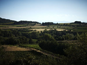 法国，奥西塔尼亚，卡尔卡松的豪华房地产 — 来自开发商和业主的房地产搜索引擎 GEOLN.COM. 照片 8