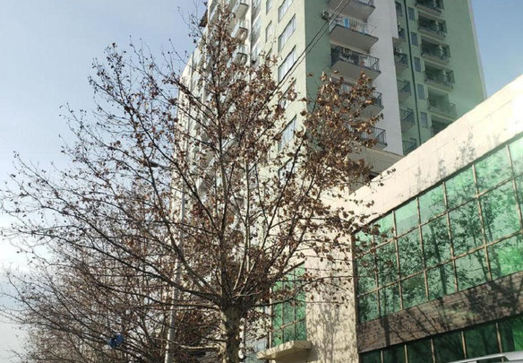 4 кімнатна квартира в Ортачала. Квартира без посередника в Тбілісі