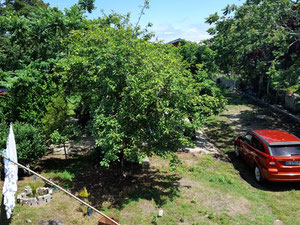 房子出售 — 来自开发商和业主的房地产搜索引擎 GEOLN.COM. 照片 8