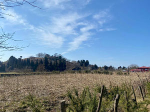 Земельна ділянка в Бобокваті — Пошуковик нерухомості від забудовників і власників GEOLN.COM. Фото 4