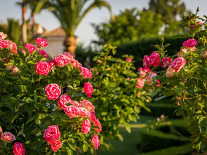 别墅 7 间卧室 1190 m² 在 Hacienda las Chapas, 西班牙 — 来自开发商和业主的房地产搜索引擎 GEOLN.COM. 照片 32