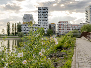 Real estate in BudaPart — look at the real estate search engine GEOLN.COM. Photo 8