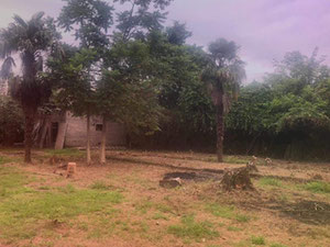 出售位于科布列季海边的土地 — 来自开发商和业主的房地产搜索引擎 GEOLN.COM. 照片 2