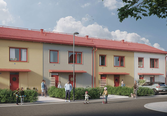 Ronnbarsglantan i Kareby Ang