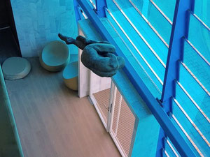 顶层公寓 4 卧室 157 m² 位于西班牙贝纳尔马德纳 — 来自开发商和业主的房地产搜索引擎 GEOLN.COM. 照片 3