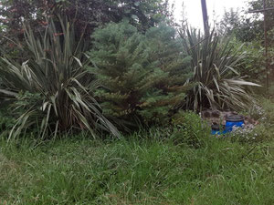 出售巴图米附近的土地 — 来自开发商和业主的房地产搜索引擎 GEOLN.COM. 照片 2