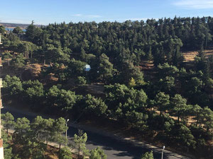 Однокомнатная квартира  — Поисковик недвижимости от застройщиков и собственников GEOLN.COM. Фото 8