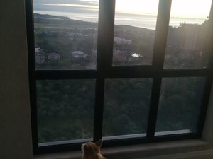 公寓 — 来自开发商和业主的房地产搜索引擎 GEOLN.COM. 照片 10