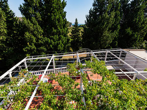 Будинок на продаж у Сутоморе, Чорногорія — Пошуковик нерухомості від забудовників і власників GEOLN.COM. Фото 9