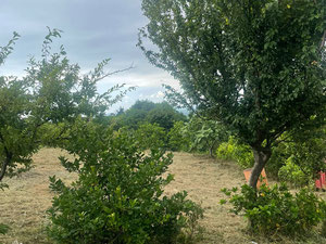 Продається квартира в Цихісдзірі. — Пошуковик нерухомості від забудовників і власників GEOLN.COM. Фото 14