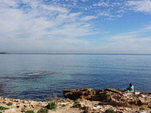 Wohnungen in Spanien, Valencia, Rojales — Immobilien-Suchservice von Bauträgern und Eigentümern GEOLN.COM. Foto 11