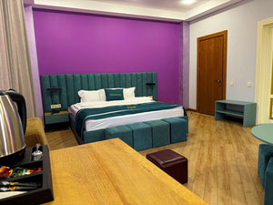 出售30间客房的酒店在祖格迪迪 — 来自开发商和业主的房地产搜索引擎 GEOLN.COM. 照片 18