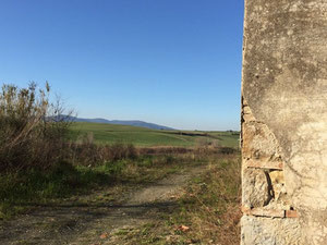 意大利郊区一个村庄的土地，比萨销售 — 来自开发商和业主的房地产搜索引擎 GEOLN.COM. 照片 2