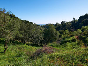 别墅 3 间卧室 374 平方米，位于西班牙埃斯特波纳 — 来自开发商和业主的房地产搜索引擎 GEOLN.COM. 照片 40