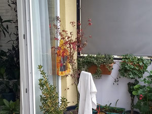 五房公寓出售 — 来自开发商和业主的房地产搜索引擎 GEOLN.COM. 照片 16