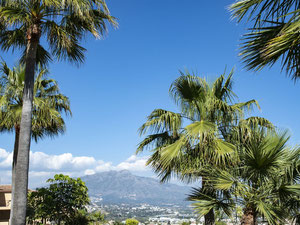 公寓 2 卧室 147 m² 在 La Alqueria, 西班牙 — 来自开发商和业主的房地产搜索引擎 GEOLN.COM. 照片 16