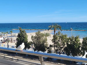 位于阿利坎特Postiguet海滩第一排的公寓 — 来自开发商和业主的房地产搜索引擎 GEOLN.COM. 照片 18