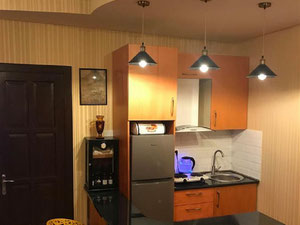 Mtatsminda上的一间卧室的公寓。第比利斯无中介公寓 — 来自开发商和业主的房地产搜索引擎 GEOLN.COM. 照片 2