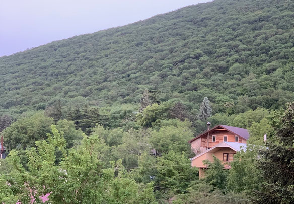 Дом на продажу в Тбилиси рядом с лесом