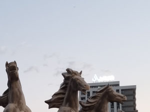 在第比利斯的公寓。 — 来自开发商和业主的房地产搜索引擎 GEOLN.COM. 照片 13