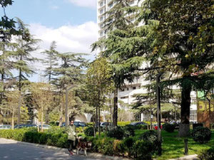 Saburtalo 2间卧室的公寓。购买第比利斯的公寓 — 来自开发商和业主的房地产搜索引擎 GEOLN.COM. 照片 15