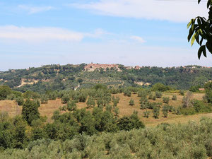 ძვირადღირებული უძრავი ქონება მთაში, გარეუბნებში, ტყეში იტალიაში, ტერნი — უძრავი ქონების ყიდვა და მფლო ბელებისგან GEOLN.COM. ფოტო 12