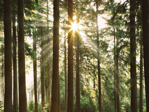 德国，柏林的公寓 — 来自开发商和业主的房地产搜索引擎 GEOLN.COM. 照片 2