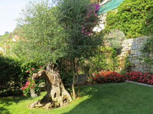 Wohnung am Meer in Italien, Ligurien, Vallebona — Immobilien-Suchservice von Bauträgern und Eigentümern GEOLN.COM. Foto 2