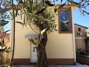 בית ליד הים במונטנגרו, בר, שושן — חיפוש נדל"ן מפרטי ומקבלן GEOLN.COM. תמונה 11