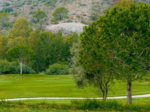 顶层公寓 3 间卧室 193 平方米，位于西班牙洛斯阿克罗斯 — 来自开发商和业主的房地产搜索引擎 GEOLN.COM. 照片 23