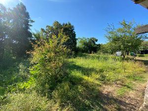 Земельна ділянка в Кобулеті — Пошуковик нерухомості від забудовників і власників GEOLN.COM. Фото 5