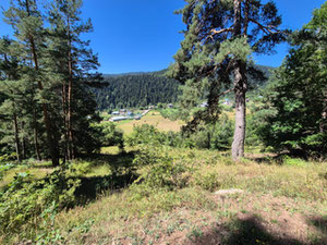 Земля на продажу — Пошуковик нерухомості від забудовників і власників GEOLN.COM. Фото 4