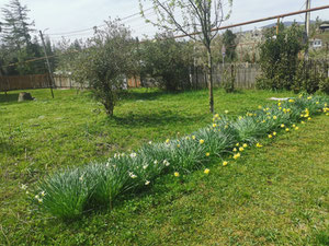 Chokhatauri 的乡间别墅 — 来自开发商和业主的房地产搜索引擎 GEOLN.COM. 照片 4