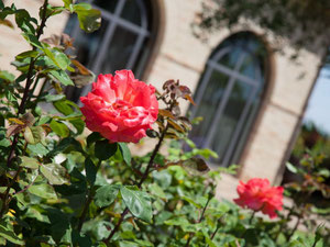 郊区别墅，意大利海边，马尔凯，奇维塔诺瓦马尔凯 — 来自开发商和业主的房地产搜索引擎 GEOLN.COM. 照片 11