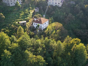 კომერციული მიწა მახინჯაურში — უძრავი ქონების ყიდვა და მფლო ბელებისგან GEOLN.COM. ფოტო 3