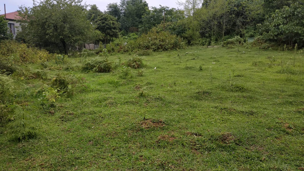 在 Khelvachauri 出售的土地 — 来自开发商和业主的房地产搜索引擎 GEOLN.COM. 照片 1