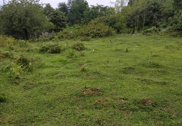 Продається земельна ділянка в Хелвачаурі.