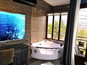 7 кімнатна готель в Ортачале. Нерухомість в Тбілісі без посередників — Пошуковик нерухомості від забудовників і власників GEOLN.COM. Фото 11