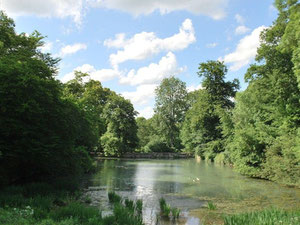 法国城堡，Saint-Julien-de-Conseil — 来自开发商和业主的房地产搜索引擎 GEOLN.COM. 照片 3