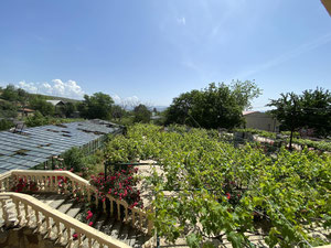 Будинок по вул. Фіросмані 24 — Пошуковик нерухомості від забудовників і власників GEOLN.COM. Фото 4