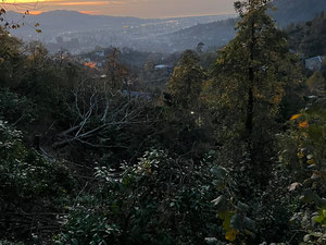 巴统的房子 — 来自开发商和业主的房地产搜索引擎 GEOLN.COM. 照片 3