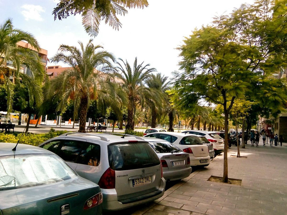 Квартира у великому місті в Іспанії, Балеарські острови, С'Алгар — Пошуковик нерухомості від забудовників і власників GEOLN.COM. Фото 1