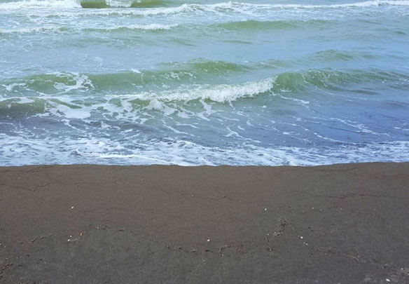 Будинок біля моря.Білий каркас.  Григолеті.