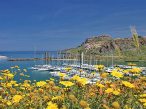 意大利, 撒丁岛, 卡斯特尔萨多的海边公寓 — 来自开发商和业主的房地产搜索引擎 GEOLN.COM. 照片 2