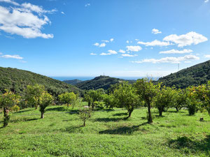 别墅 2 间卧室 259 平方米，位于西班牙埃斯特波纳 — 来自开发商和业主的房地产搜索引擎 GEOLN.COM. 照片 22