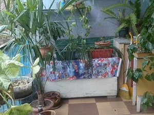 Vake的4间房间的公寓。在第比利斯购买公寓 — 来自开发商和业主的房地产搜索引擎 GEOLN.COM. 照片 7