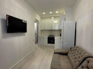 2х комнатная квартира DS GROUP — Поисковик недвижимости от застройщиков и собственников GEOLN.COM. Фото 2