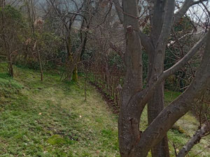 Gonio 海景房 — 来自开发商和业主的房地产搜索引擎 GEOLN.COM. 照片 2